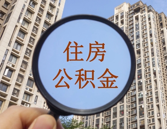 衡东退休后查不到公积金明细了吗（退休后公积金查询不到原因）